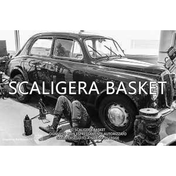 B2B Museo Nicolis